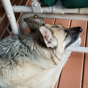 Meet your Posher, Sue